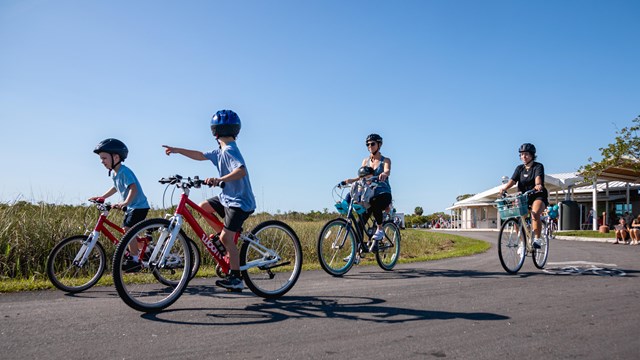 Four cyclists on the Shark Valley Road under a blue sky.