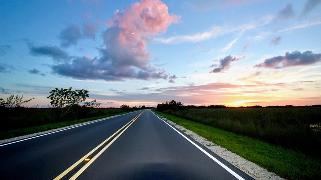 The park's main road at at sunset with pink clouds.