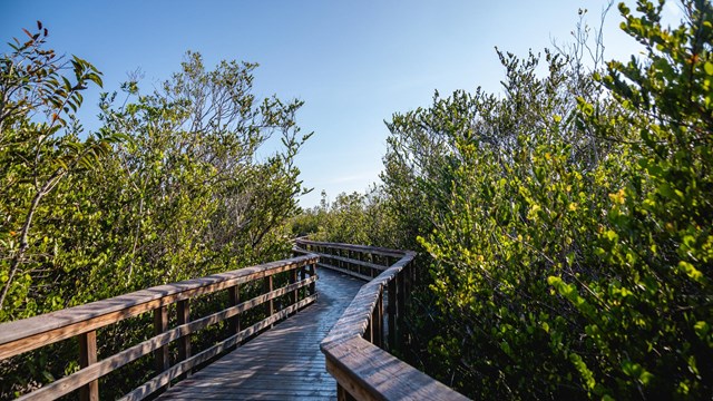 An accessible boardwalk under a blue sky.