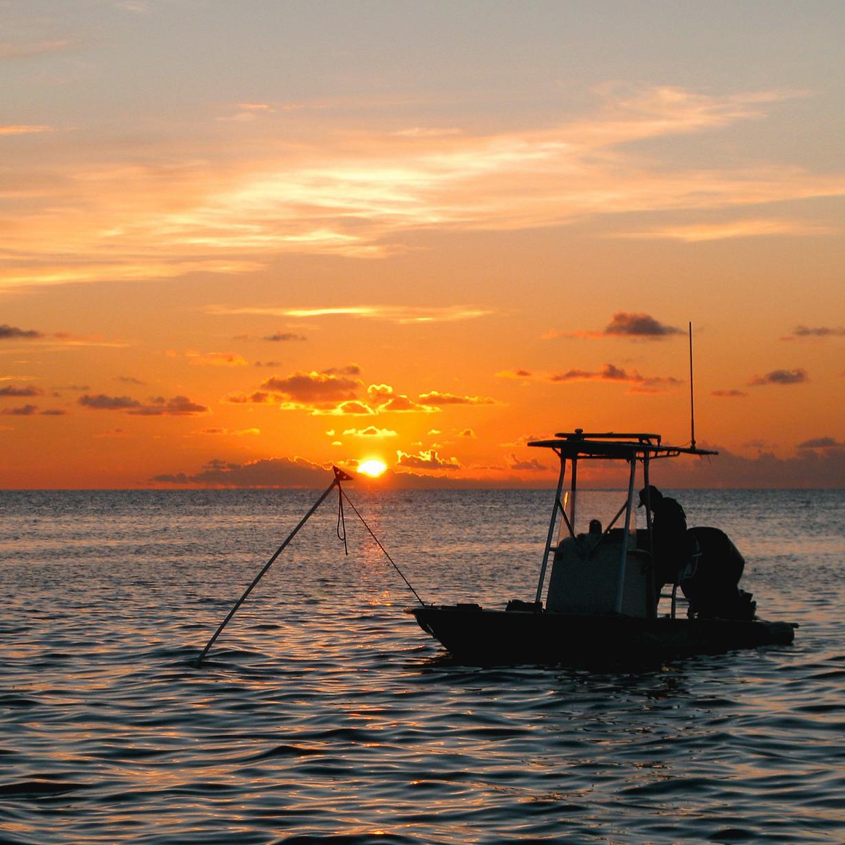 Gulf Coast