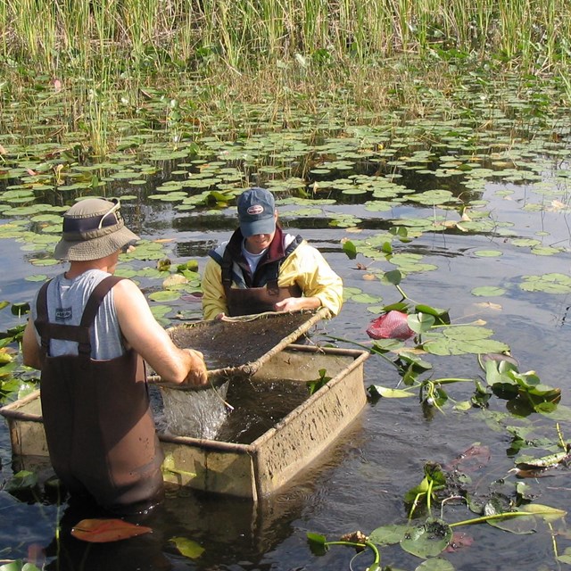 South Florida Natural Resources Center