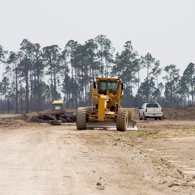 Hole-in-the-Donut: Habitat Restoration