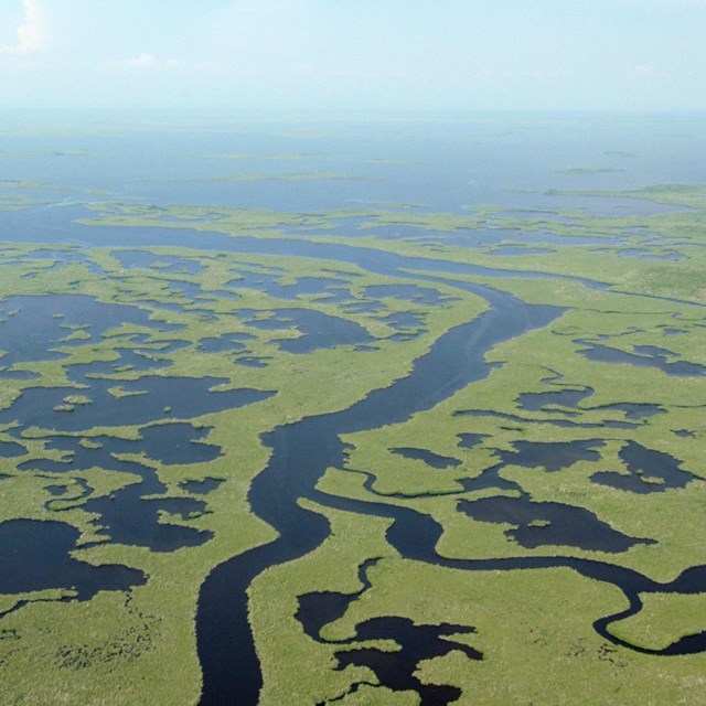 Read About Everglades National Park