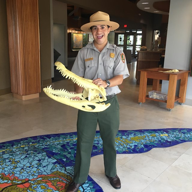 Royal Palm Ranger-Led Programs