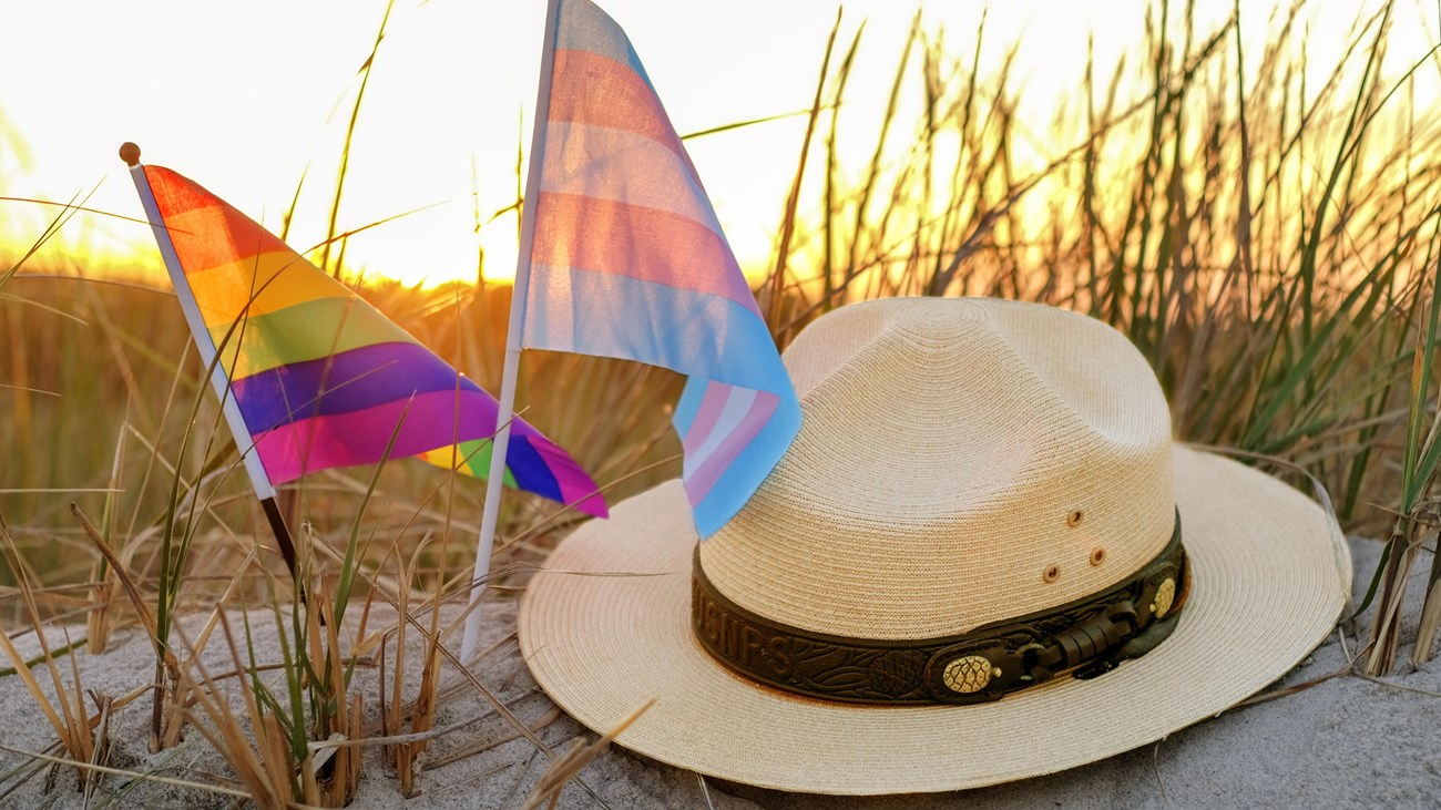 Two LGBTQ flags stuck in beach sand next to a ranger flat hat with setting sun in the background.