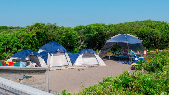 A campsite with tents and a screen room on sand with vegetation surrounding.