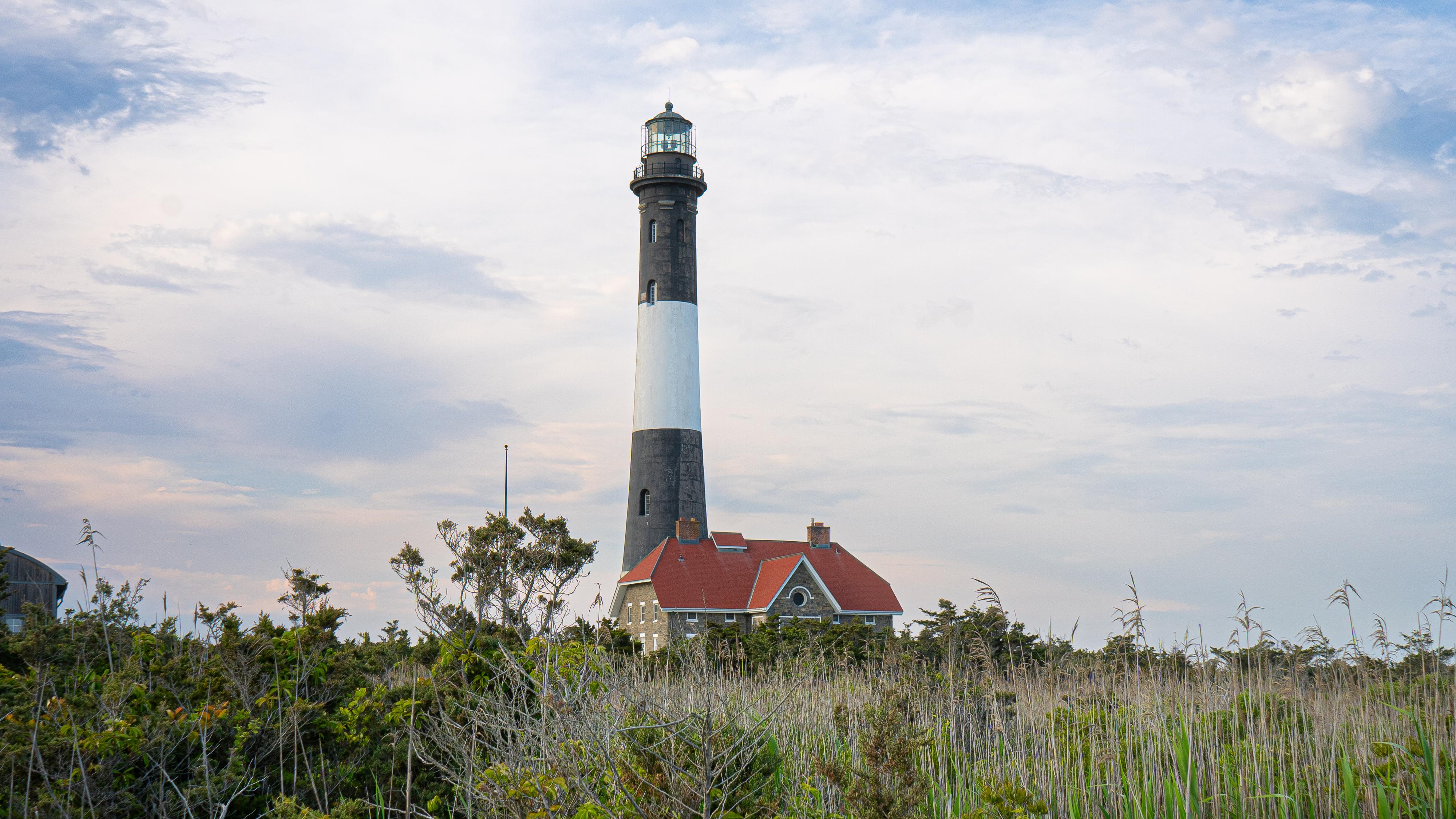 A black and white striped lighthouse with red-roofed stone house rises above green reeds.