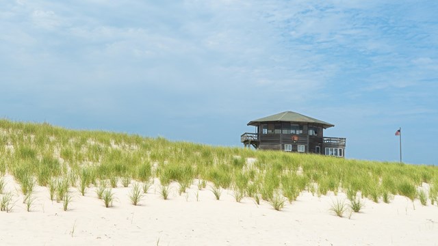 A wooden building peeks out from behind a grass-covered dune with blue sky above.