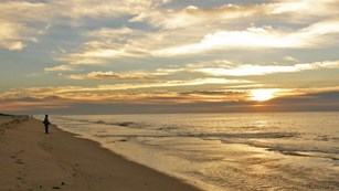 A fisherman surf-casts in front of a setting sun.  