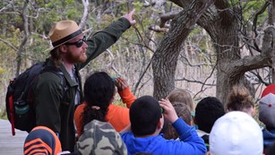 A park ranger points toward a tree as children use binoculars to look closer.