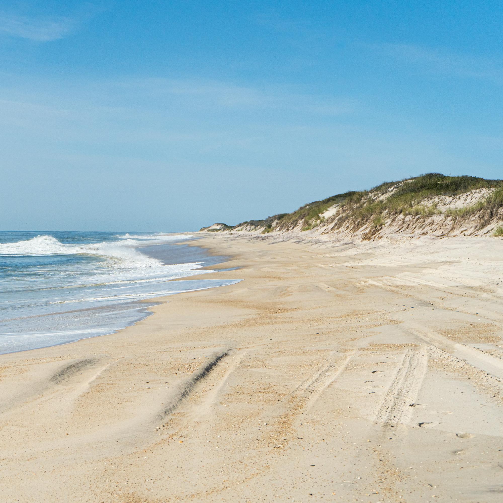 A sandy ocean beach with the primary dune in view.