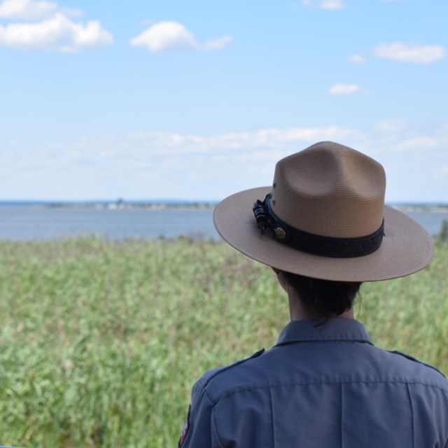 A park ranger looks across reeds to the water.