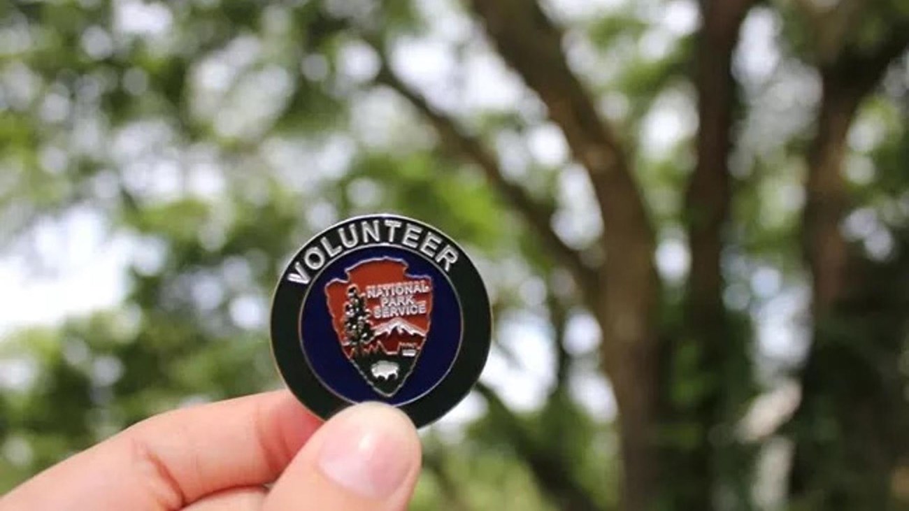 two fingers hold up a lapel pin with the official volunteer in parks logo on it