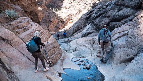 Hikers heading down a mountainous desert trail