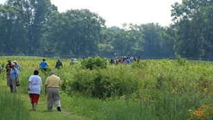 Tour group walking through Huffman Prairie