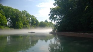 Fog resting over a river lined with trees