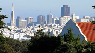 San Francisco skyline from the Presidio