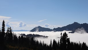 Fog over a valley between forested mountains
