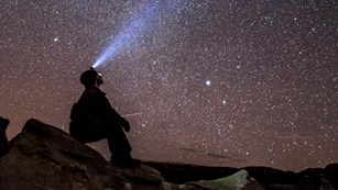 Visitor stargazing