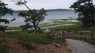Trail leading downhill to a marshland