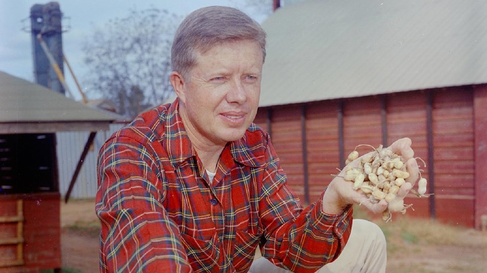 Historical photo of Jimmy Carter holding peanuts on a farm