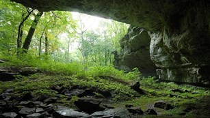 View from underneath the overhang of a cave
