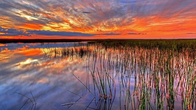 Red and blue sunset reflecting on water with read grass patch.