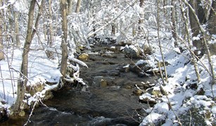 Snow covered creek in the woods