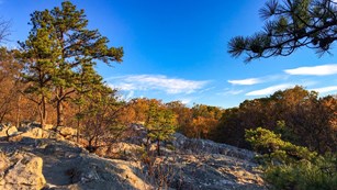 Rock outcrop with trees and shrubs growing in its crevices