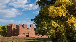 Cotton woods blooming yellows and green leaves with Quarai ruins in the background.