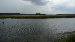 Person fishing in a marsh