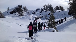 Group of snowshoers walking up a hill