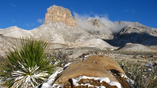 mountain landscape and desert plants in winter dusted with snow