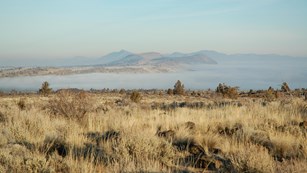 Fog resting in a desert landscape