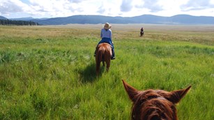 Equestrian riders riding through a valley