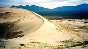 Hiker walking on a massive sand dune