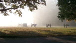 Sidewalk past trees and cannons in a foggy field