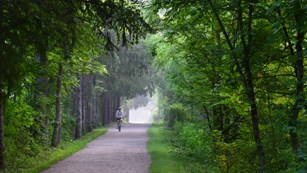 Bicyclist on a trail through the woods