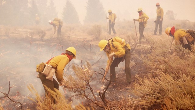 Wildland firefighters working in the field