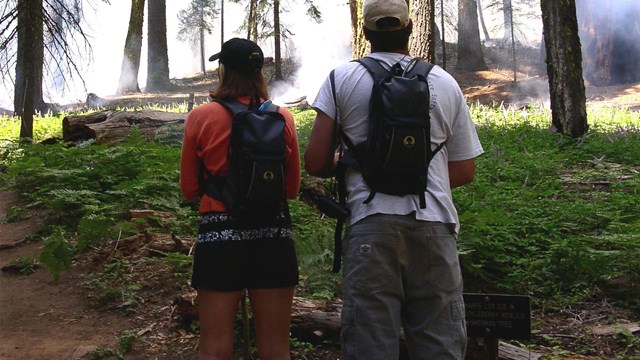 Two hikers on a hiking trail observe smoke rising from a nearby forest.