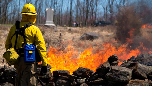 wildland fire fighter watching a burn