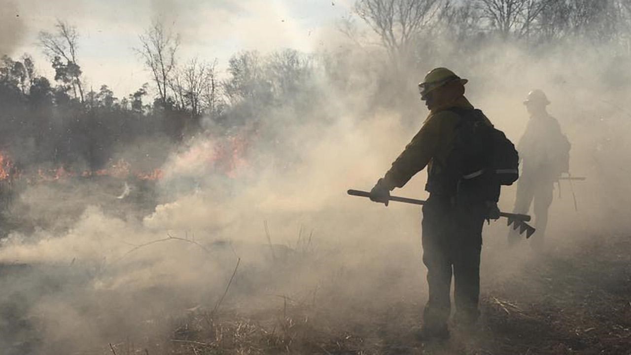 Firefighter carries a rake in a smokey field.