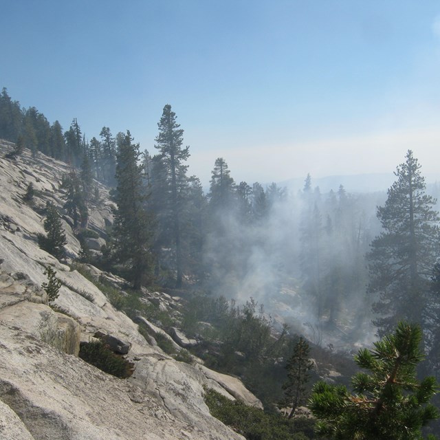 smoke in the wilderness at Yosemite National Park