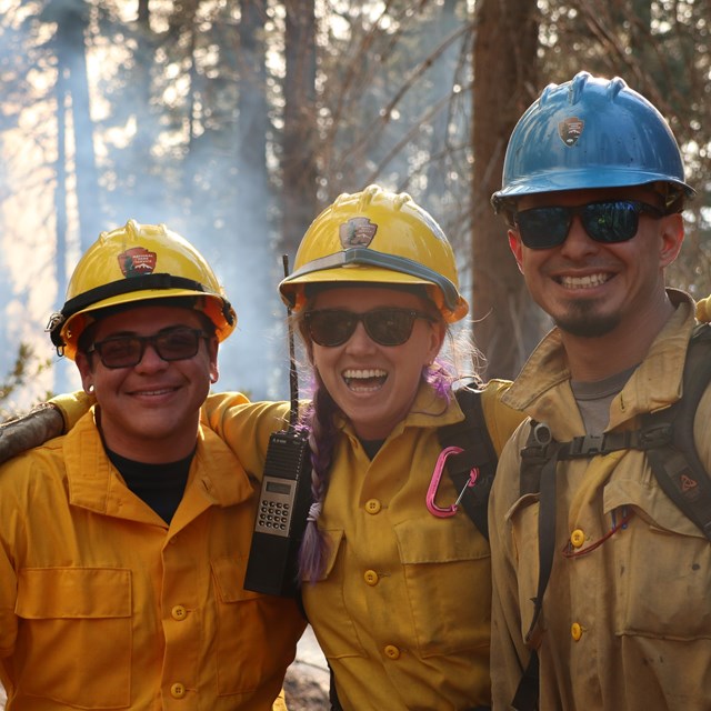 Wildland Fire: Fireline Construction (U.S. National Park Service)