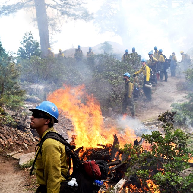 Firefighters work to construct line on a fire.