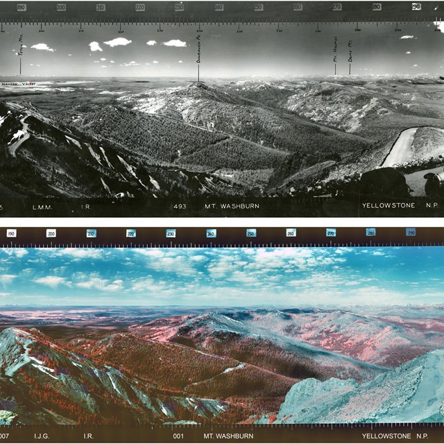 A photo taken in Yellowstone NP that compares 1935 to 2007.