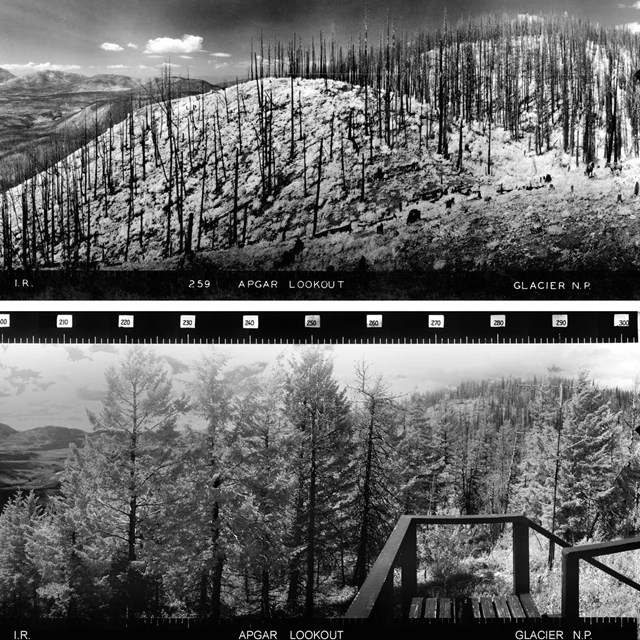 A photo comparison from Apgar Lookout in Glacier National Park