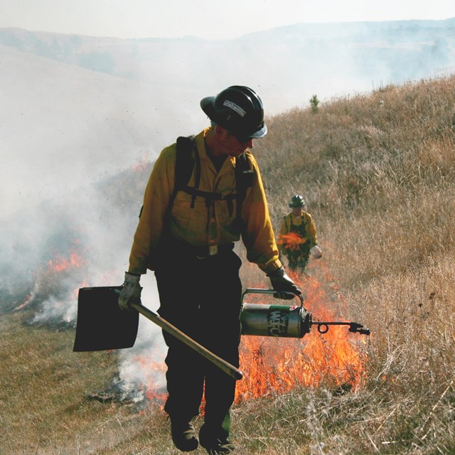 A firefighter use a driptorch and a flapper during a prescribed burn in grasslands.