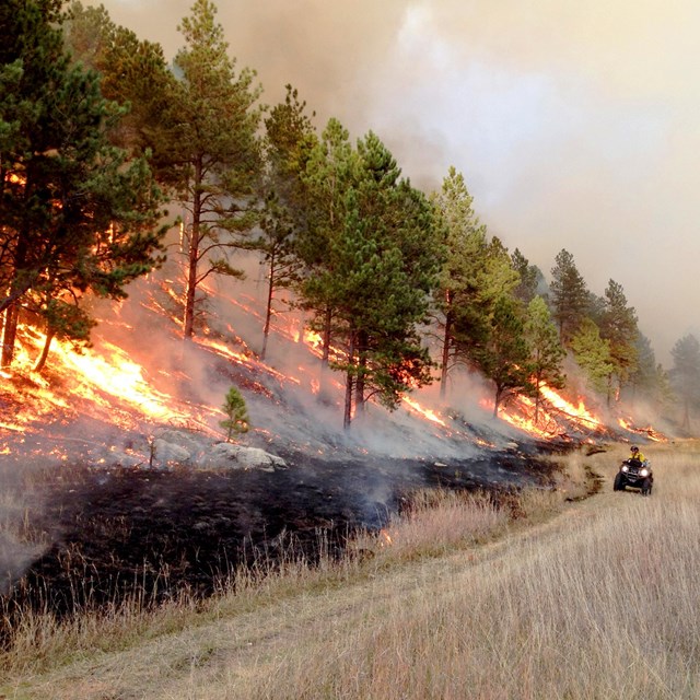 A firefighter monitors the fire effects from a prescribed burn from an ATV in the foothills.