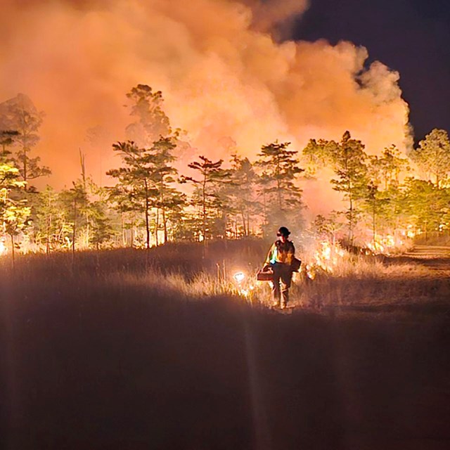 Firefighter backlit by flames at night walks down an earthen trail.